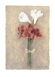 For You by Antonio Ferralli