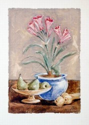Amaryllis Variation by Antonio Ferralli