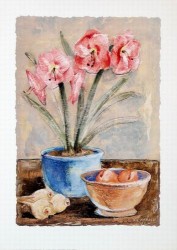 Amaryllis by Antonio Ferralli