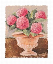 Pink Lady by Antonio Ferralli