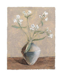 White Phlox by Antonio Ferralli