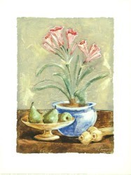 Amaryllis Variation by Antonio Ferralli