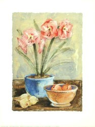 Amaryllis by Antonio Ferralli