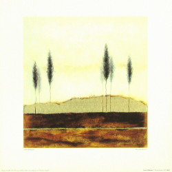 Sweet Wilderness by Richard Barrett