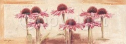 My Pink Daisies by Anna Gardner