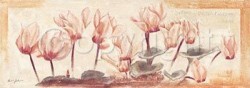 My Cyclamen in Bloom by Anna Gardner
