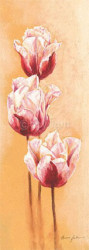 Gleaming Tulips by Anna Gardner