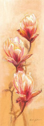 Passionate Magnolia by Anna Gardner