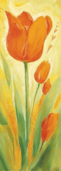 Tulipano Arancione by Annabella Baretti