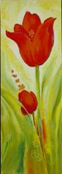 Tulipano Rossa by Annabella Baretti