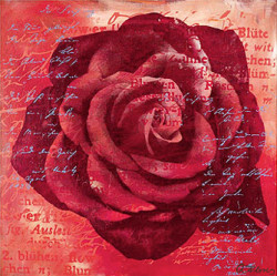 Red Rose by Anna Flores