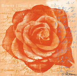 Rose In Orange by Anna Flores