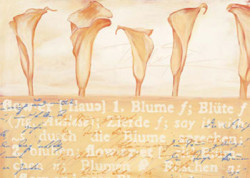 Callas In Natural by Anna Flores