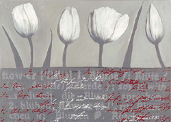 Tulip Parade In Grey by Anna Flores