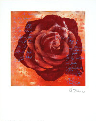 Red Rose by Anna Flores