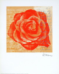 Rose in Orange by Anna Flores