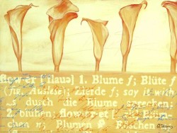 Callas in Natural by Anna Flores