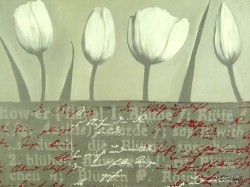 Tulips parade in Grey by Anna Flores