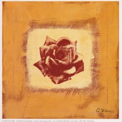 Single Rose by Anna Flores