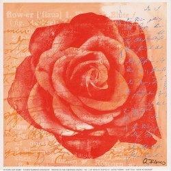 Rose in Orange by Anna Flores