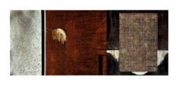 Organized I by Toos Van Poppel