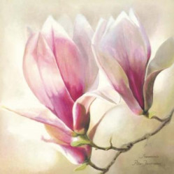 Magnolia Liliflora by Annemarie Jaumann