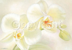 Yellow Treasure by Annemarie Jaumann