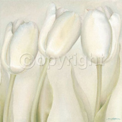 White Elegance by Annemarie Jaumann