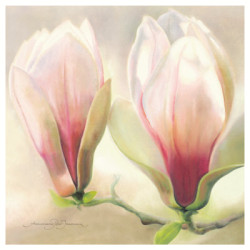 Magnolia Soulangiana by Annemarie Jaumann