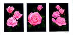 Tryp Pink Roses by Andrew Patsalou
