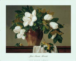 Magnolias With Apricots by Joe Anna Arnett