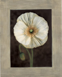 Flora I by Andrea Trivelli