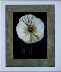 Flora I by Andrea Trivelli