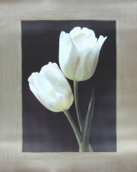 Tulipani Bianchi by Andrea Trivelli