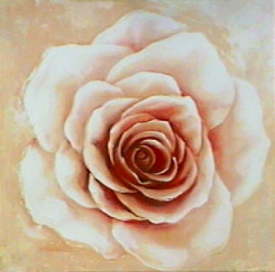 Beautiful Rose by Arkadiusz Warminski