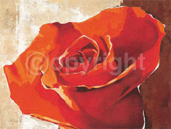 Bright Carmesin Rose by Arkadiusz Warminski