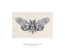 Fly Away by Jennette Brice