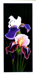 Irises by Andrew Patsalou