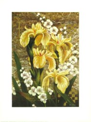 Spring II by Bai Xue