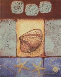 Nautilus Clam by Wendy Russell