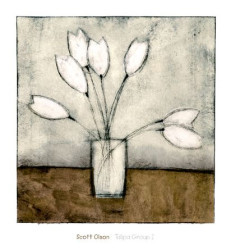 Tulipa Group I by Scott Olson