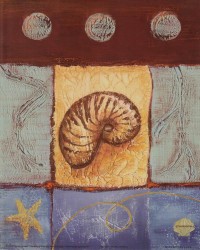 Nautilus Shell by Wendy Russell