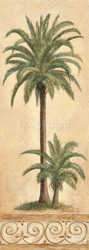 Coconut Palm