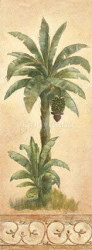 Banana Palm