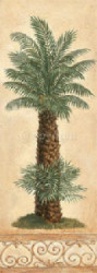 Island Palm