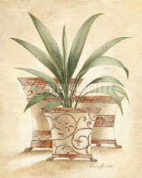 Nostalgia by Claudia Ancilotti