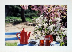 Romance II by Cassandra Power