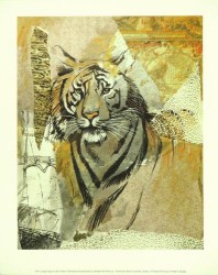 Jungle Song by Ann Dillard