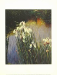 Wild Irises by Greg Singley