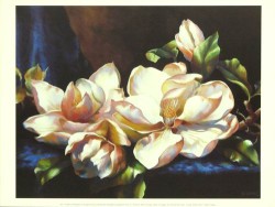 Sunlight Contemplation by Elizabeth Horning